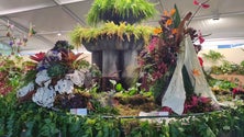 Imagem de Pavilhão da flor já recebeu 40 mil visitas (áudio)