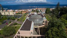 Presidente do parlamento obrigado a moderar linguagem dos deputados (Vídeo)