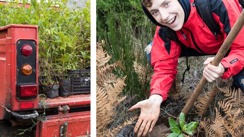 Imagem de You Print, We Plant: o programa de reflorestação da Académica da Madeira