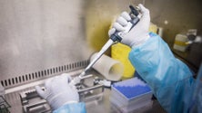 Imagem de Covid-19: Mais de 165 mil mortos em todo mundo