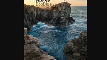 Imagem de Projeto Azores Ecoblue pretende criar novas matérias-primas a partir de lixo marinho e algas