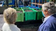 Escoamento de uvas garantido (vídeo)