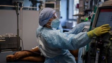 Imagem de Covid-19: Madeira com 11 novos casos de transmissão local e 4 importados
