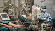 Imagem de Covid-19: Itália soma 1297 novos casos e oito vítimas mortais nas últimas 24 horas