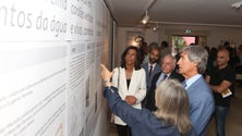 Imagem de Governo Regional quer adquirir biblioteca pessoal de Herberto Helder