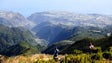 Imagem de Madeira aposta na conservação da natureza através do Programa Life