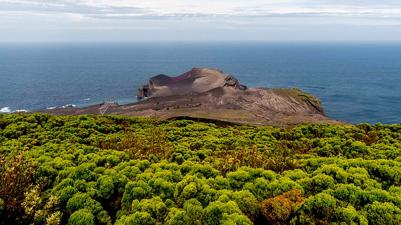 Sismo sentido na ilha do Faial