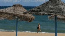 Imagem de Variante britânica representa 94% dos casos no Algarve