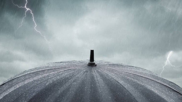 Imagem de Aviso Amarelo para Flores e Corvo