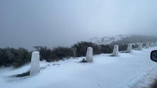 Imagem de Pico do Areeiro «pintado» de branco pelo segundo dia consecutivo (vídeo)