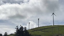 Imagem de Flores podem atingir 87% de energias renováveis até 2025 (Vídeo)