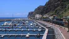 Imagem de Marina da Calheta reabre a 1 de junho