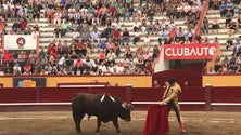 Imagem de Toureio a pé na Feira de S. João (Vídeo)
