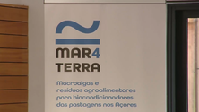 Imagem de Fertilizante feito a partir de algas apresentado na Terceira (Vídeo)