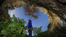 Imagem de Grupo da Universidade dos Açores recebe avaliação de excelência no estudo da biodiversidade [Vídeo]