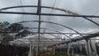 Imagem de Apoios a fundo perdido para agricultores (vídeo)