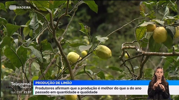 Sociedade