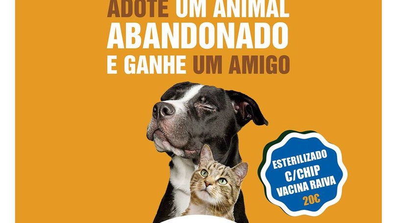 Imagem de Adoção de animais sábado no Jardim Municipal