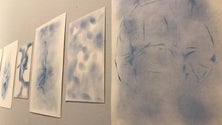 Imagem de Exposição `Azul celeste` dá cor ao Museu Henrique e Francisco Franco