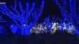 As luzes da Festa madeirense (Vídeo)