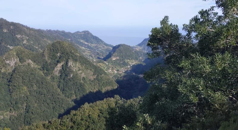 Madeira positiva e Algarve com piores resultados no desenvolvimento sustentável