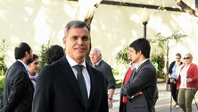 Imagem de PSD desiludido com posição da ministra do Mar sobre ferry