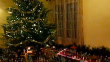 Imagem de Recolha de árvores de natal (Vídeo)