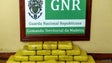 Imagem de GNR apreende 50 quilos de cocaína