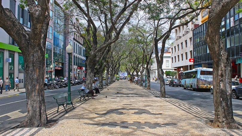 Imagem de União de Sindicatos da Madeira vai sair à rua no Dia do Trabalhador