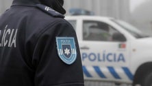 Imagem de PSP Madeira recebe sete viaturas