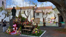 Machico em Flor (áudio)