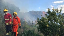 Imagem de População em sobressalto na Ribeira Brava