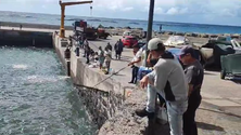 Imagem de Pescadores «inundam» cais da Ribeira Brava (vídeo)