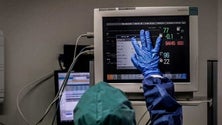 Imagem de Coronavírus já matou mais de 502 mil pessoas e infetou mais de 10 milhões no mundo