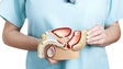 Imagem de 127 novos casos de cancro na próstata, detetados todos os anos na Madeira