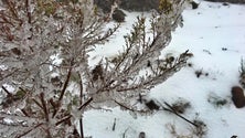 Imagem de Neve pode cair nos pontos mais altos da Madeira