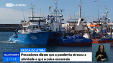 Imagem de Pescadores do Caniçal dizem que a pandemia atrasou a safra do atum (Vídeo)