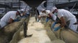 Imagem de Governo açoriano vai apoiar agricultores que não têm a quem entregar leite para queijo