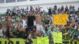 Imagem de O Rio Ave e o Casa Pia garantiram a promoção à Liga