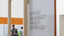 Imagem de Ordem dos Psicólogos defende melhor distribuição dos profissionais