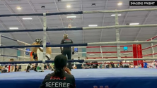 Imagem de Campeões do Mundo de Kickboxing (Vídeo)