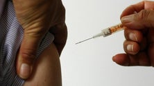 Imagem de Vacinas da Gripe chegam amanhã (áudio)