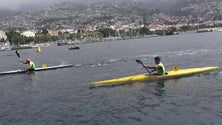 Imagem de Canoagem de mar regressa com a regata Machico-Funchal