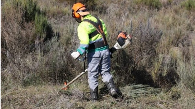 Imagem de Prazo para limpar terrenos termina hoje