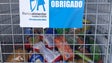 Imagem de Mercearias sociais já apoiam mais de 100 famílias na Madeira