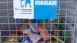 Mercearias sociais já apoiam mais de 100 famílias na Madeira