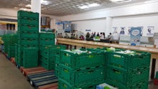 Imagem de Banco alimentar recolheu 23 toneladas de alimentos