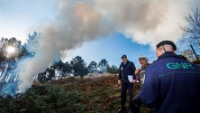 Proprietários devem limpar terrenos até 15 de março