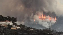 Imagem de Detido suspeito de atear dois fogos em Valpaços