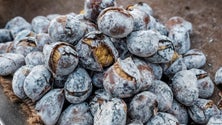 Imagem de Venda de castanhas aumenta no Natal